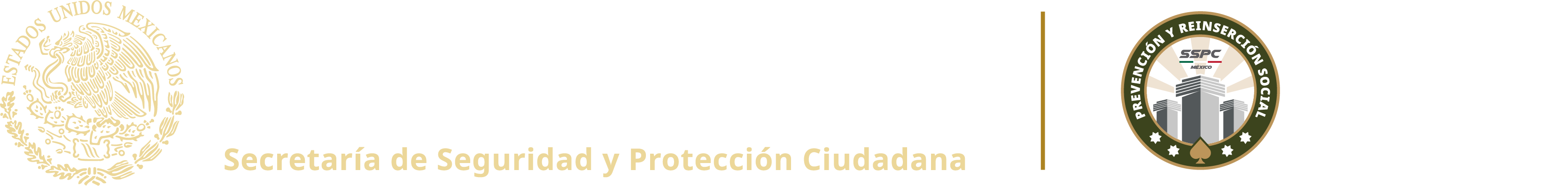 Seguridad y Protección Ciudadana · Prevención y Reinserción Social